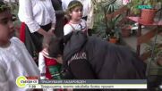 Отбелязваме Лазаровден