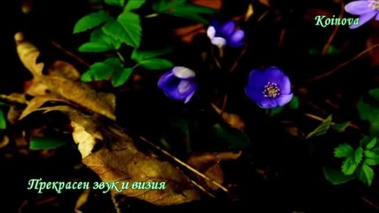 Красота !
