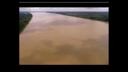 Най - Опасните Животни В Света - Амазония, Част 1 