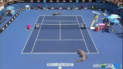 Крокодили играят тенис !