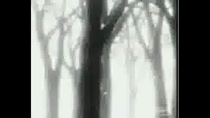 Bleach Amv - Body Crumbles