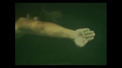 The.crypt.2009