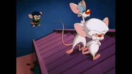 Pinky and the Brain,ep. 23