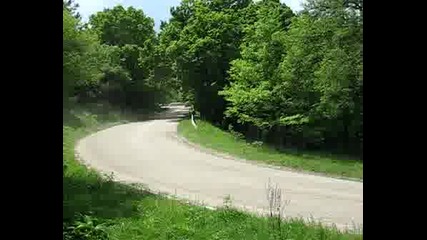 Рали Вида 2008