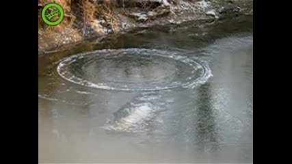 Необикновени неща 