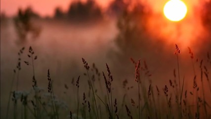 Красивейшая природа и музыка.
