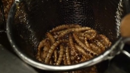 Ресторант в Токио предлага нудълс с… насекоми
