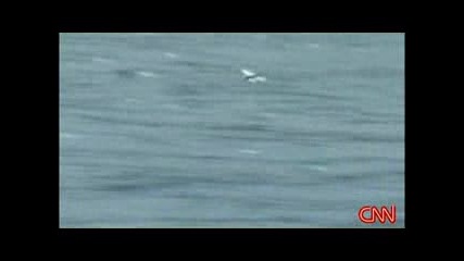 Риба лети 45 секунди в Китай..:) ) (репортаж на Cnn 21.05.08) 