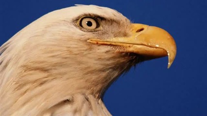 The Eagles - Hotel California-true Hd Audio-320 Kbps