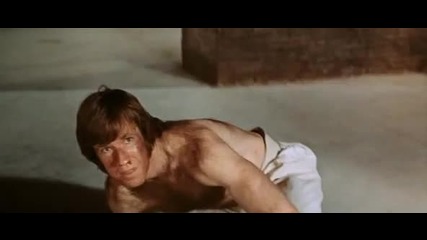 Чък Норис срещу Брус Лий (bruce lee vs. chuck norris)