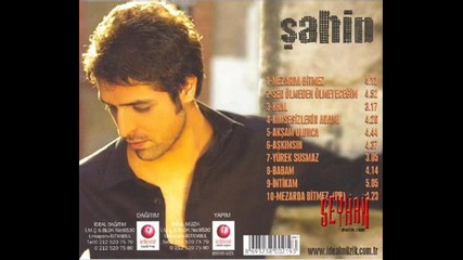 Sahin - Intikam (2010) 