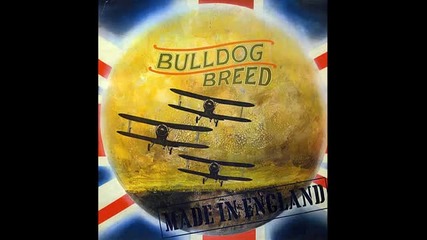 Bulldog - 10 Silver