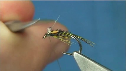 Tying the Quilled River Diawl-bach by Davie Mcphail.