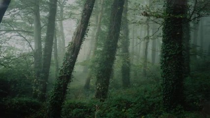 Vinterland - Our Dawn of Glory