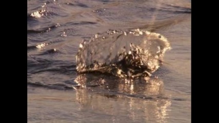 Екстремен риболов на водопада Виктория - Планета Земя - Видео - - Bg Flash