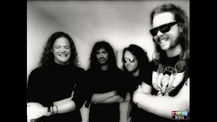 Metallica - The Struggle Within
