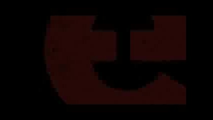 Dangerous Stepper - Kokerboom 