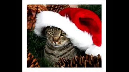 Romantic christmas time 