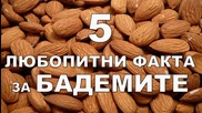 5 любопитни факта за бадемите