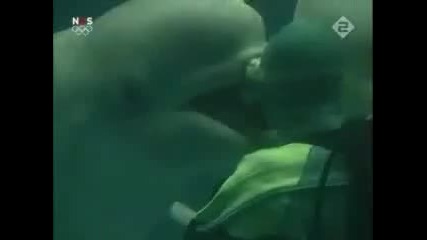 delfin pravi balontcheta 
