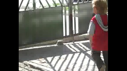 Дете Си Играе/в Попово/