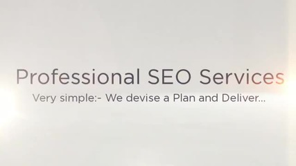 Professional Seo Services - Overview