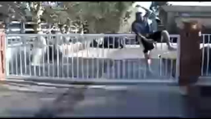 Amazing 64 Inch Gate Jump