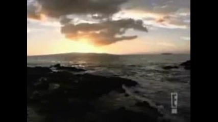 Adriana Lima Video