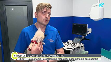 Сезонът на кърлежите дойде: Как да защитим домашните любимци и семейството си