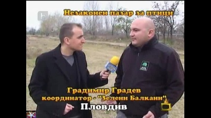 Незаконен пазар за птици, 27 януари 2011, Господари на ефира 