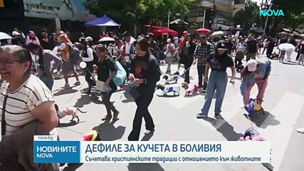Кучешко дефиле с атрактивни костюми се състоя в Боливия