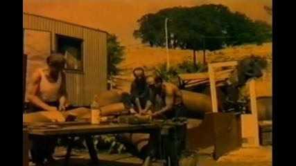 Dzej - Da sam lopov (spot)