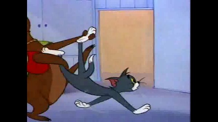 Tom And Jerry - 102 - Down Beat Bear 