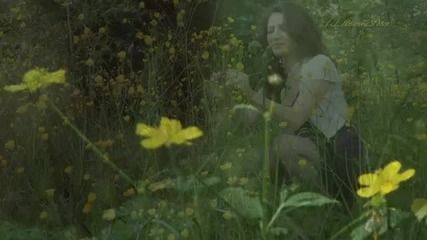 Ernesto Cortazar - Suddenly I'm Yours-album Serenity