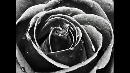 The Rasmus - Ten Black Roses