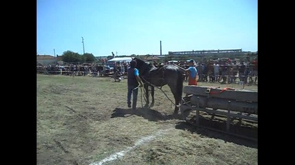 kone Kneja 01.09.2012