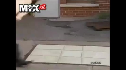 Много Смях !