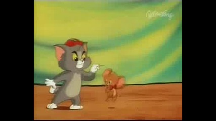 44 B - Circus Cat 