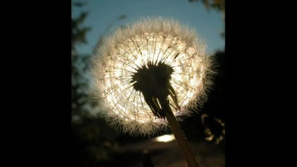 Faithless - Crazy English Summer...