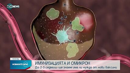 Новините на NOVA NEWS (01.12.2021 - 20:00)