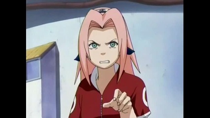 sakuraaa 