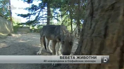 40 нови обитатели в Софийския зоопарк