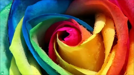 Mitrinique presents Madloch - Colorshock (paul Hazendonk's Manual Music Remix)
