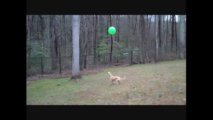 Win Compilation - 2012