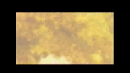 Naruto - Fanfarria