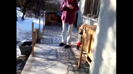 Маги и снега