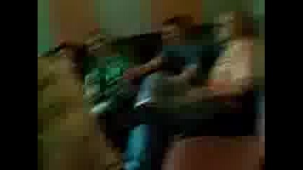 Balyci