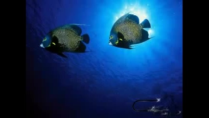 trance music ocean dream trance music german prod. creativbeatz 