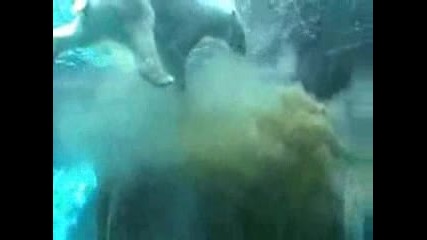 Смяташе, Че Никой Няма Да Забележи