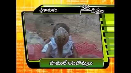 Children Playing With Snakes - sailakkadi.mpg - Youtube